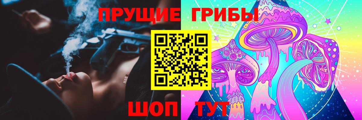 Гай  купить закладку  Вход с VPN  Псилоцибиновые грибы Psilocybe 